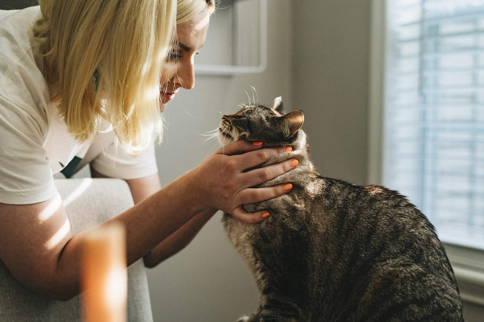 Veterinarian caring for a patient